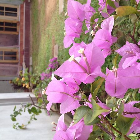 Manik Home Stay Kudapaduwa Exterior photo