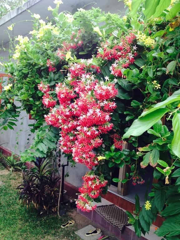 Manik Home Stay Kudapaduwa Exterior photo